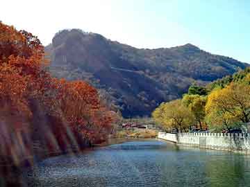 香港內(nèi)部三肖三碼精準(zhǔn)免費(fèi),王菲的耳環(huán)好像蝦片