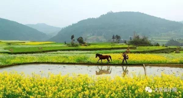 農(nóng)業(yè)農(nóng)村怎樣和旅游結(jié)合,農(nóng)業(yè)農(nóng)村與旅游結(jié)合的實(shí)踐執(zhí)行計(jì)劃，探索田園旅游新路徑,實(shí)踐策略設(shè)計(jì)_粉絲款60.21.64