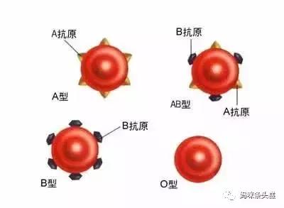 abo溶血,abo溶血，深入解析與定義的新視角,平衡策略實(shí)施_云版81.94.33