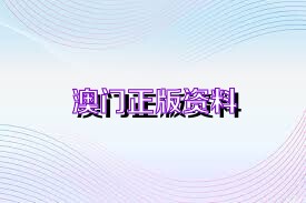 澳門精準資料大全集,澳門精準資料大全集與實效策略分析——專業(yè)款探索,穩(wěn)定性方案解析_LT41.46.45