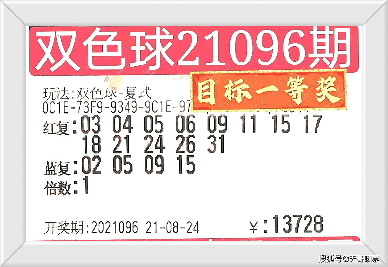 新奧門開獎(jiǎng)結(jié)果2025香港,新奧門開獎(jiǎng)結(jié)果2025香港，詮釋、說(shuō)明與解析——版版67.79.88,實(shí)地分析數(shù)據(jù)應(yīng)用_pack26.17.23