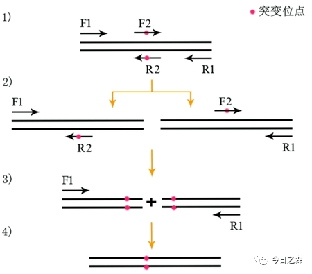 第6475頁