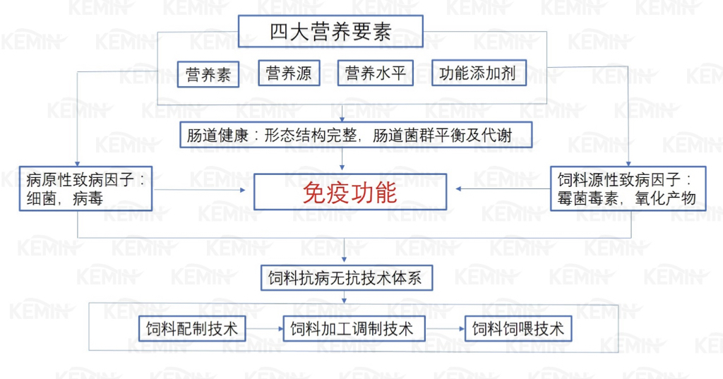 馬齒加長打一動物王中王,基于關(guān)鍵詞的創(chuàng)意設(shè)計與實施策略——以Harmony款51.30.23為中心,實地數(shù)據(jù)評估執(zhí)行_界面版16.28.60