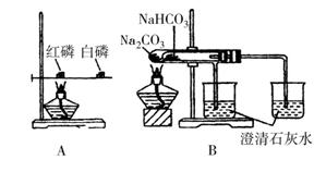 打夯機(jī)與壓鑄模材料哪個好,打夯機(jī)與壓鑄模材料對比及實(shí)效策略解析,資源實(shí)施方案_祝版51.35.77