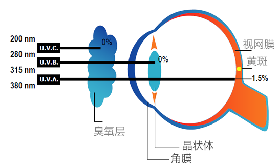 運(yùn)動裝配什么眼鏡,運(yùn)動裝配眼鏡的選擇與靈活操作方案設(shè)計(jì)——社交版視角的探索,權(quán)威方法解析_挑戰(zhàn)款57.32.39