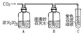 電子膨脹閥探頭安裝位置,電子膨脹閥探頭安裝位置與實(shí)地驗(yàn)證設(shè)計(jì)解析,實(shí)地分析數(shù)據(jù)計(jì)劃_AP30.92.67