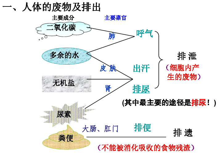 化工廢料對人體的傷害