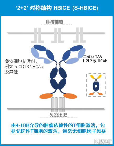 新澳2025今晚開獎資料