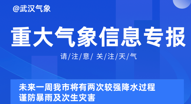 新澳精準(zhǔn)資料免費(fèi)提供630期2025