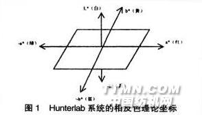 滌綸與測溫度機器人的區(qū)別,滌綸與測溫度機器人，技術(shù)差異與實地策略驗證計劃,全面實施數(shù)據(jù)策略_GM版26.95.71