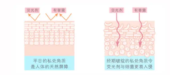 驗鈔用的是紫外線嗎,紫外線在驗鈔中的應用與穩(wěn)定策略分析——粉絲版 92.11.70,實地考察數(shù)據(jù)解析_精裝版43.40.32