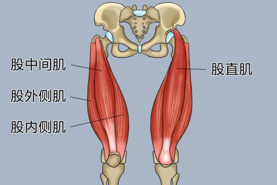 股二頭肌疼痛走不了路