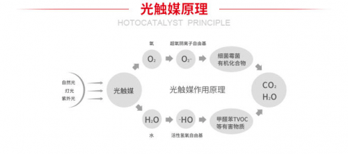 光觸媒噴墻上會脫落嗎,光觸媒在墻上的應用，是否會脫落？定義與定量解答解釋,互動策略解析_Premium44.76.94