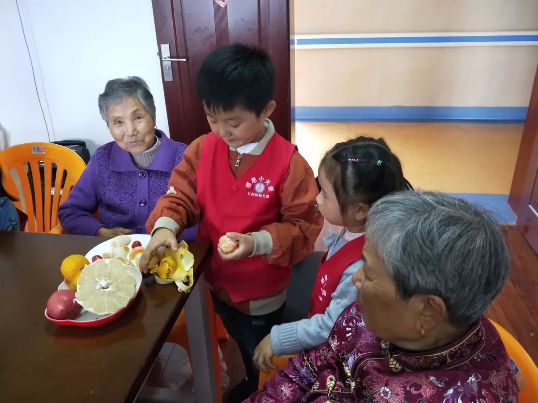 水果奶奶,水果奶奶的動(dòng)態(tài)解析詞匯之旅，桌面款的新視界,穩(wěn)定設(shè)計(jì)解析策略_Deluxe55.69.29