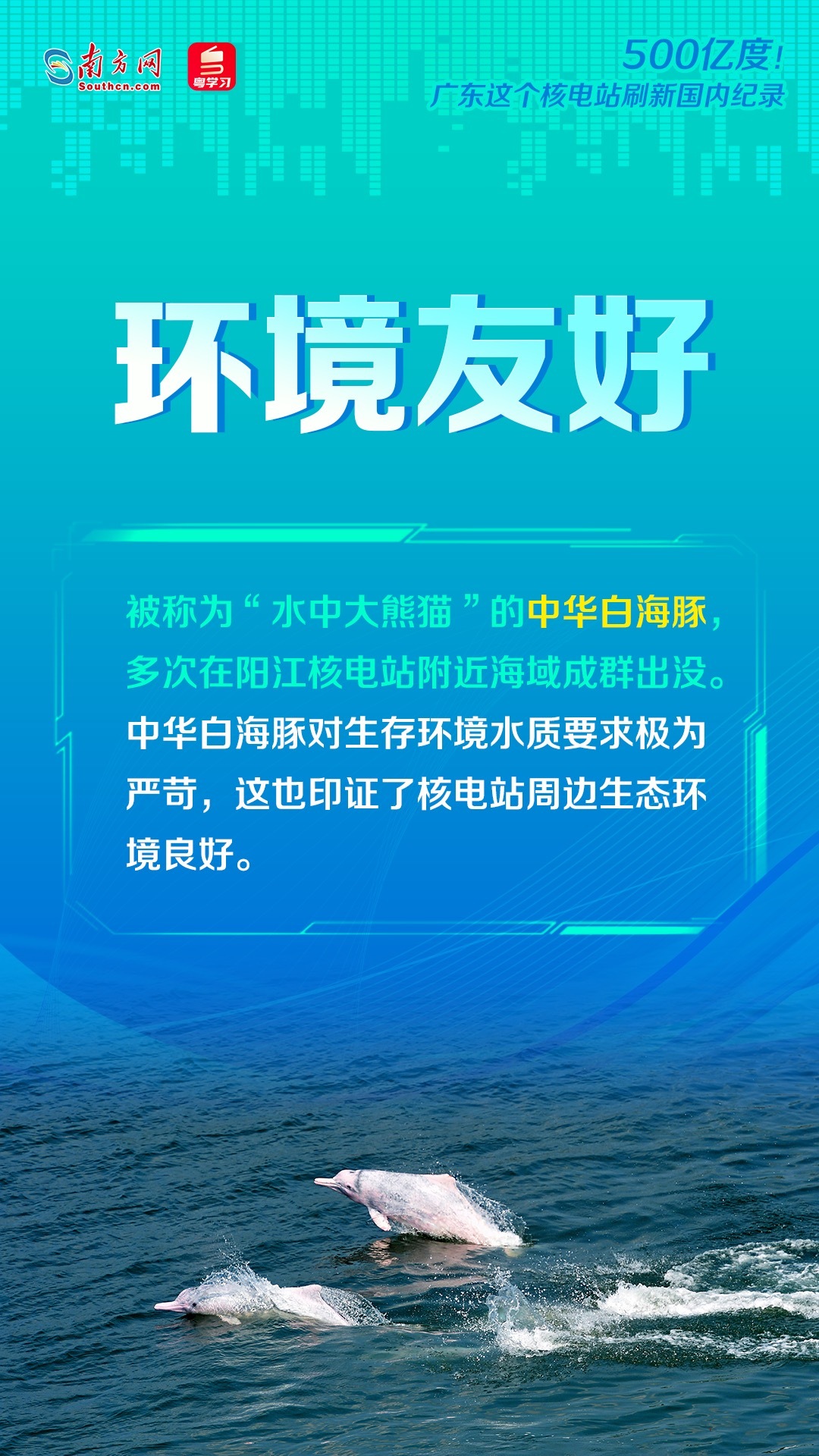 澳彩資料免費(fèi)大全,澳彩資料免費(fèi)大全與快速落實(shí)方案響應(yīng)——探索版式設(shè)計(jì)的奧秘,靈活解析方案_牙版21.79.13