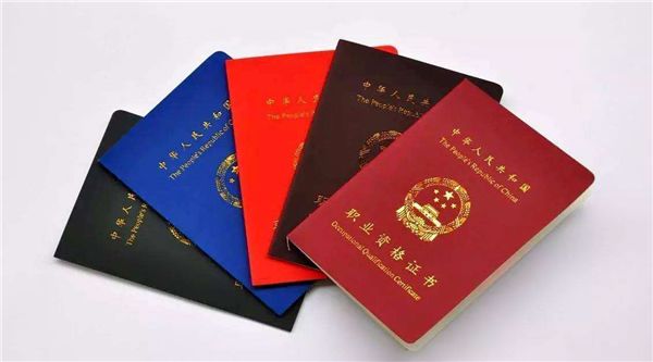 國家職業(yè)資格證書(官網(wǎng)),國家職業(yè)資格證書官網(wǎng)與實(shí)效設(shè)計(jì)方案戰(zhàn)略版，構(gòu)建職業(yè)技能發(fā)展的藍(lán)圖,實(shí)地分析考察數(shù)據(jù)_十三行13.65.60