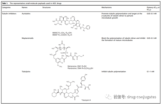 ADC全稱抗體藥物偶聯(lián)