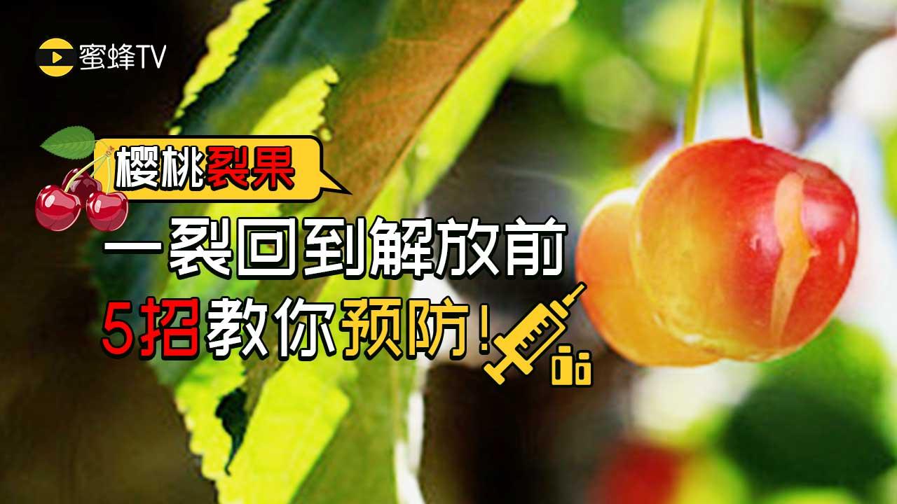 渤船集團(tuán)官網(wǎng)