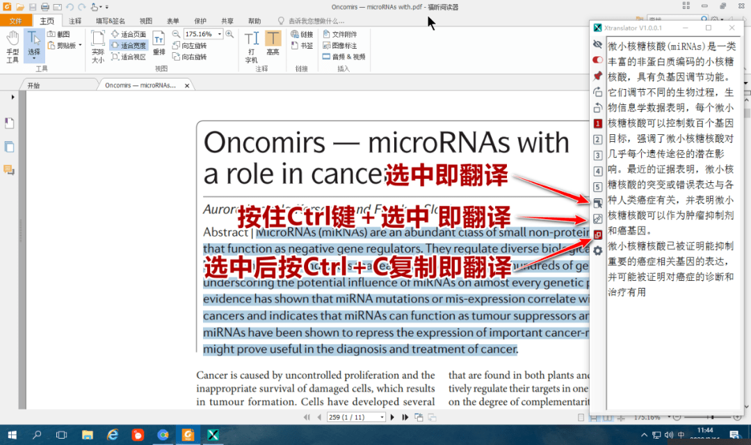 一碼一肖100%的資料