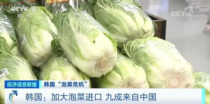 韓國國產白菜辣椒或將消失