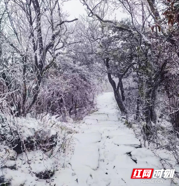 長沙下雪