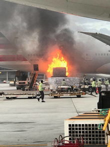 韓國(guó)客機(jī)起火已致58人死亡