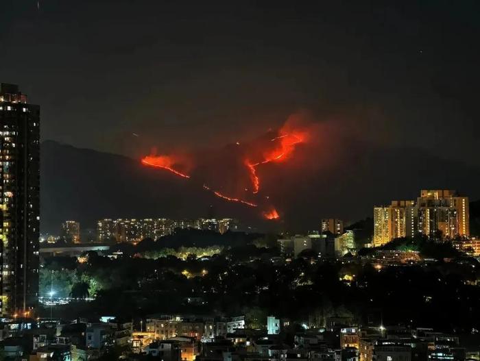 香港元朗山火已受控 無人員受傷報(bào)告