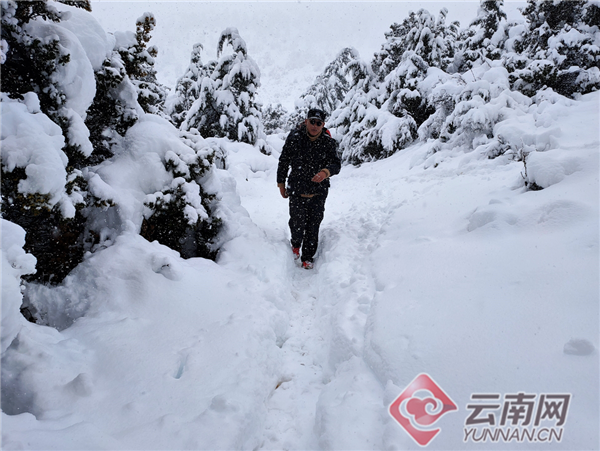 港澳馬會彩經四碼,煙臺突降鵝毛大雪