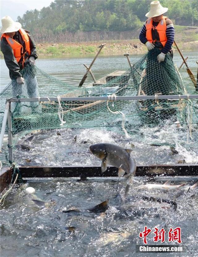 正版小魚兒免費(fèi)資料大全