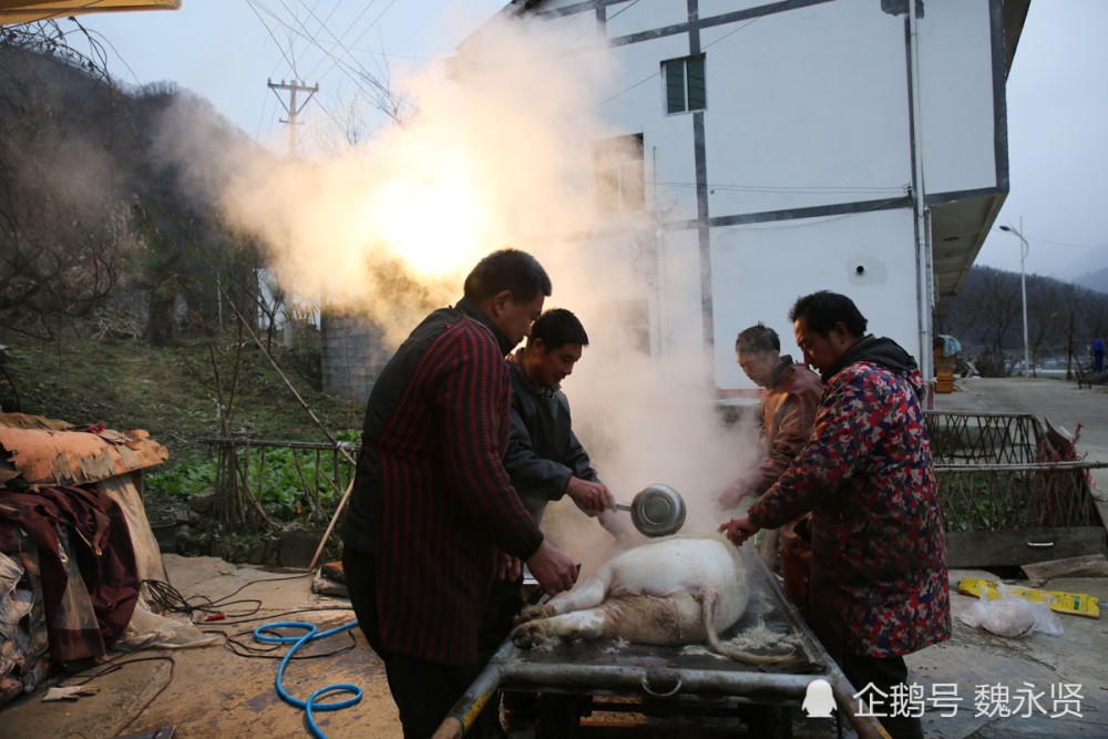 2025年澳門彩開(kāi)獎(jiǎng)結(jié)果查詢,侗族老鄉(xiāng)殺年豬喊你吃“刨湯”