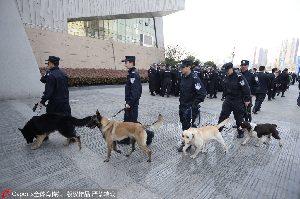 澳門版?zhèn)髡尜Y料大全,警犬從特警車伸出小腦瓜盯梢