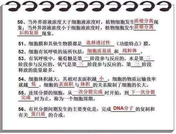 鬼谷子600圖庫八百圖庫開獎(jiǎng)最快2025澳門資料大全正版資料下載永久免費(fèi)資,女孩海上漂36小時(shí)生還：幸虧脂肪多