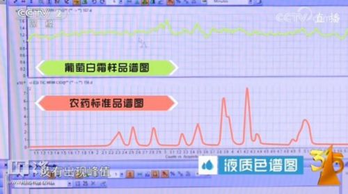 2025年生肖運勢運程表