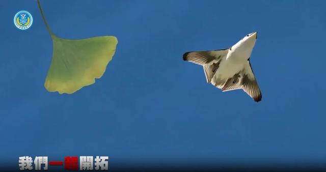 香港4949開(kāi)獎(jiǎng)結(jié)果最快