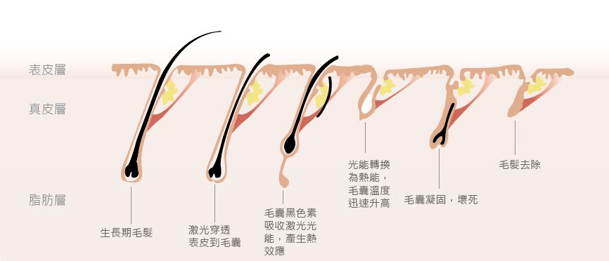 沒(méi)牙齒的是什么生肖,“減重”醫(yī)生42天減重近50斤